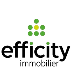 Logo Efficity, partenaire de Diagnostic ORA